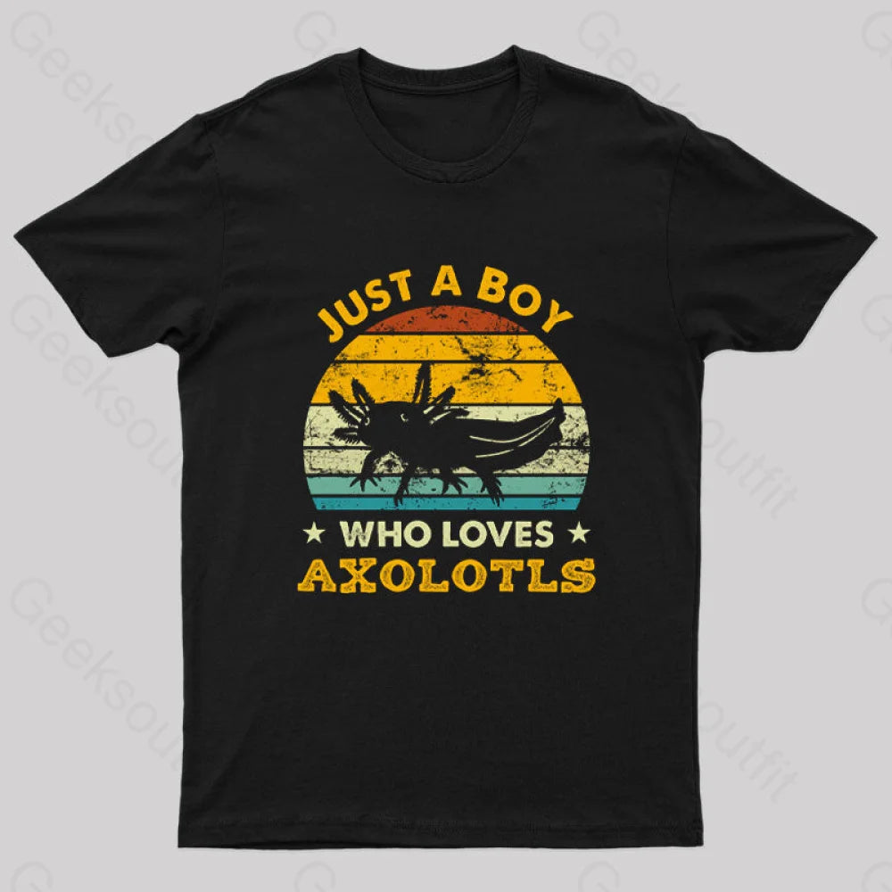 Just A Boy Who Loves Axolotls Geek T-Shirt